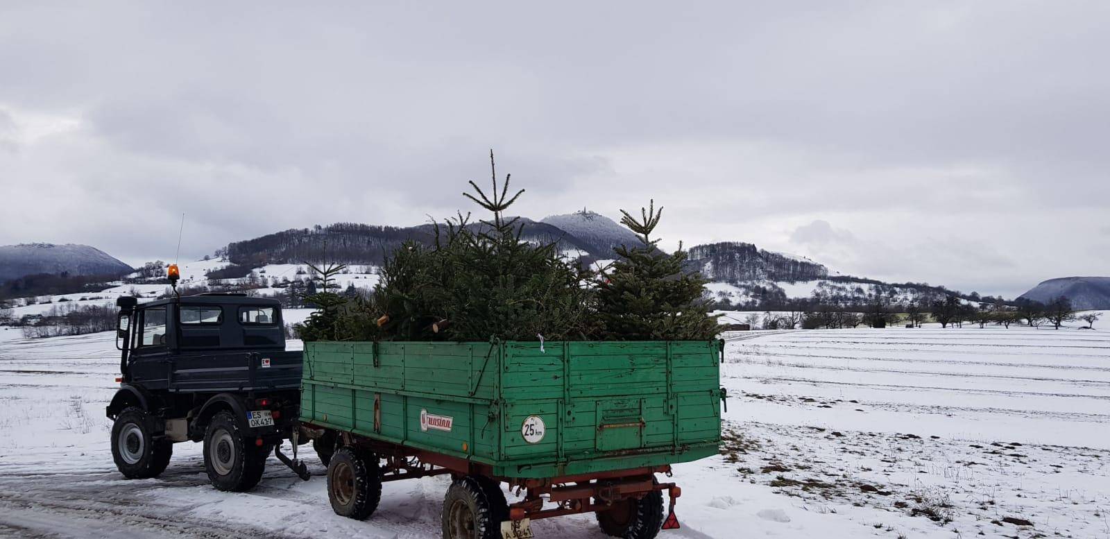 Ankündigung zur Christbaumsammlung 2024