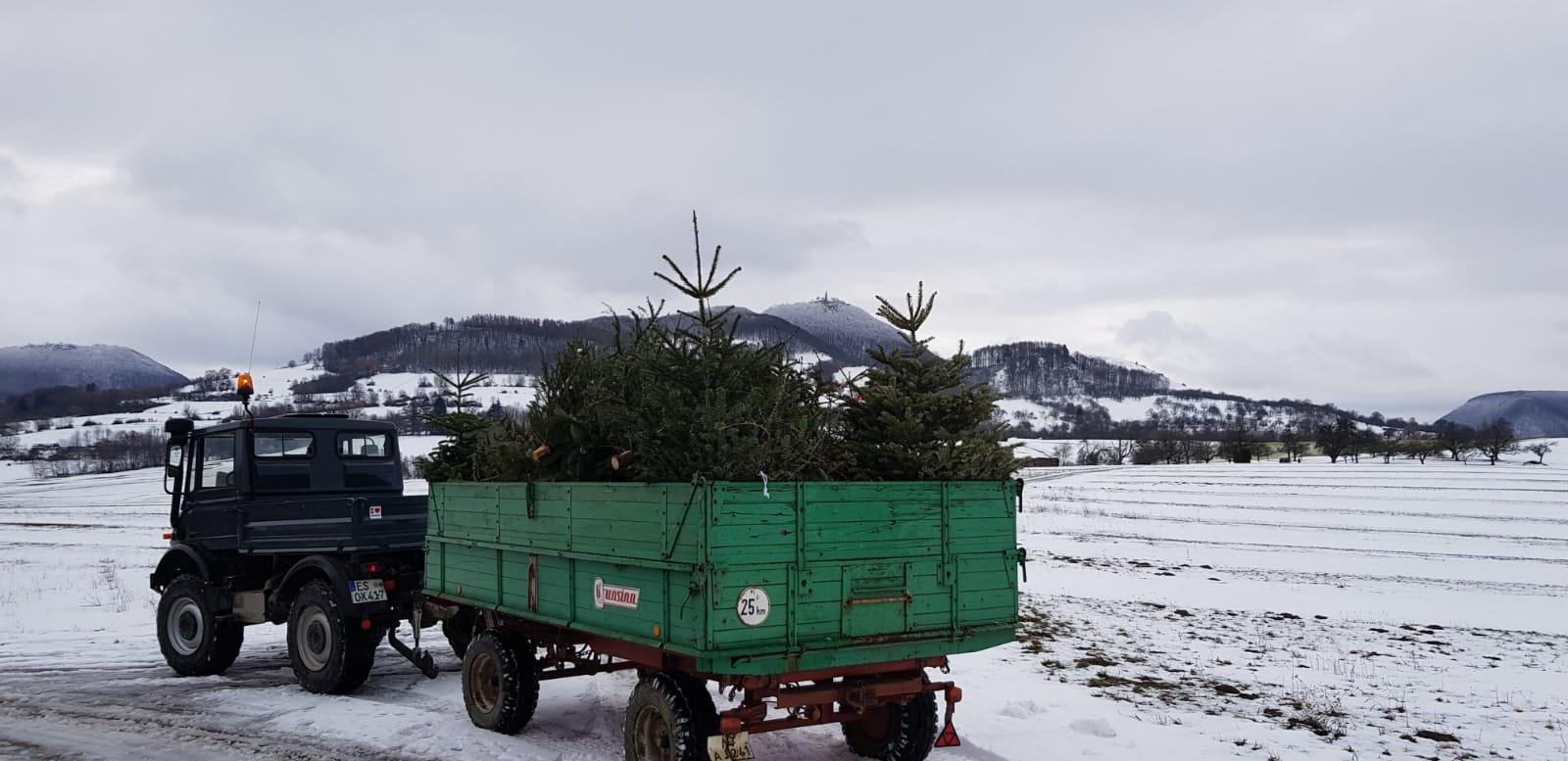 Ankündigung zur Christbaumsammlung 2024 Wir freuen uns darüber, am 13. Januar 2024 wieder die Christbaumsammlung in Dettingen und auf dem Guckenrain durchführen zu können. Dafür werden wir wieder während der Sammlung an den Haustüren um Spenden bitten. Für die Sammlung bitten wir Sie die ausgedienten Christbäume am 13. Januar bis 11:00 Uhr gut sichtbar an den Straßenrand zu stellen.